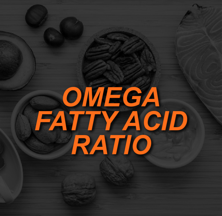 balancing-the-omega-fatty-acid-ratio-in-the-standard-american-diet